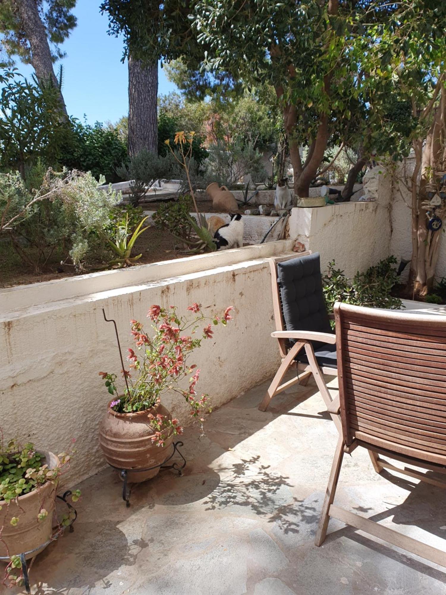 Poros Summer Apartment - Neorio Poros Town Dış mekan fotoğraf